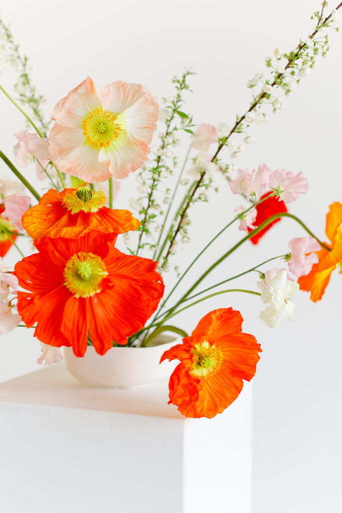 Composition florale avec kenzan, formation bases florales pour novices